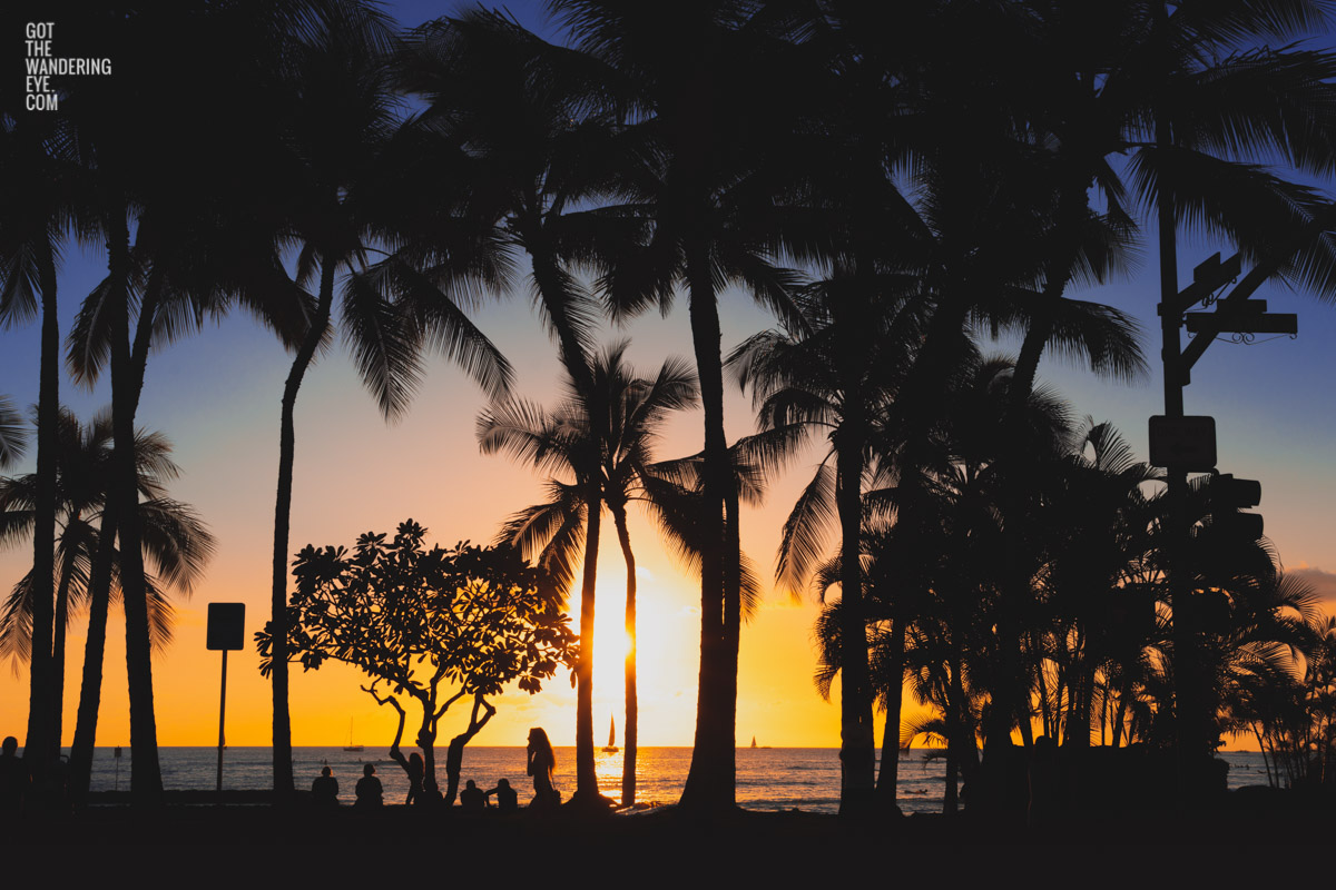 Waikiki Beach Sunset Silhouettes.