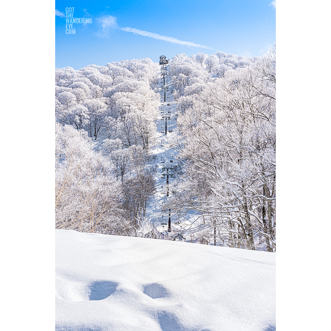 Looking up towards snow covered peaks and trees up towards chairlift on Nozaw Onsen Snow Resort, Japan