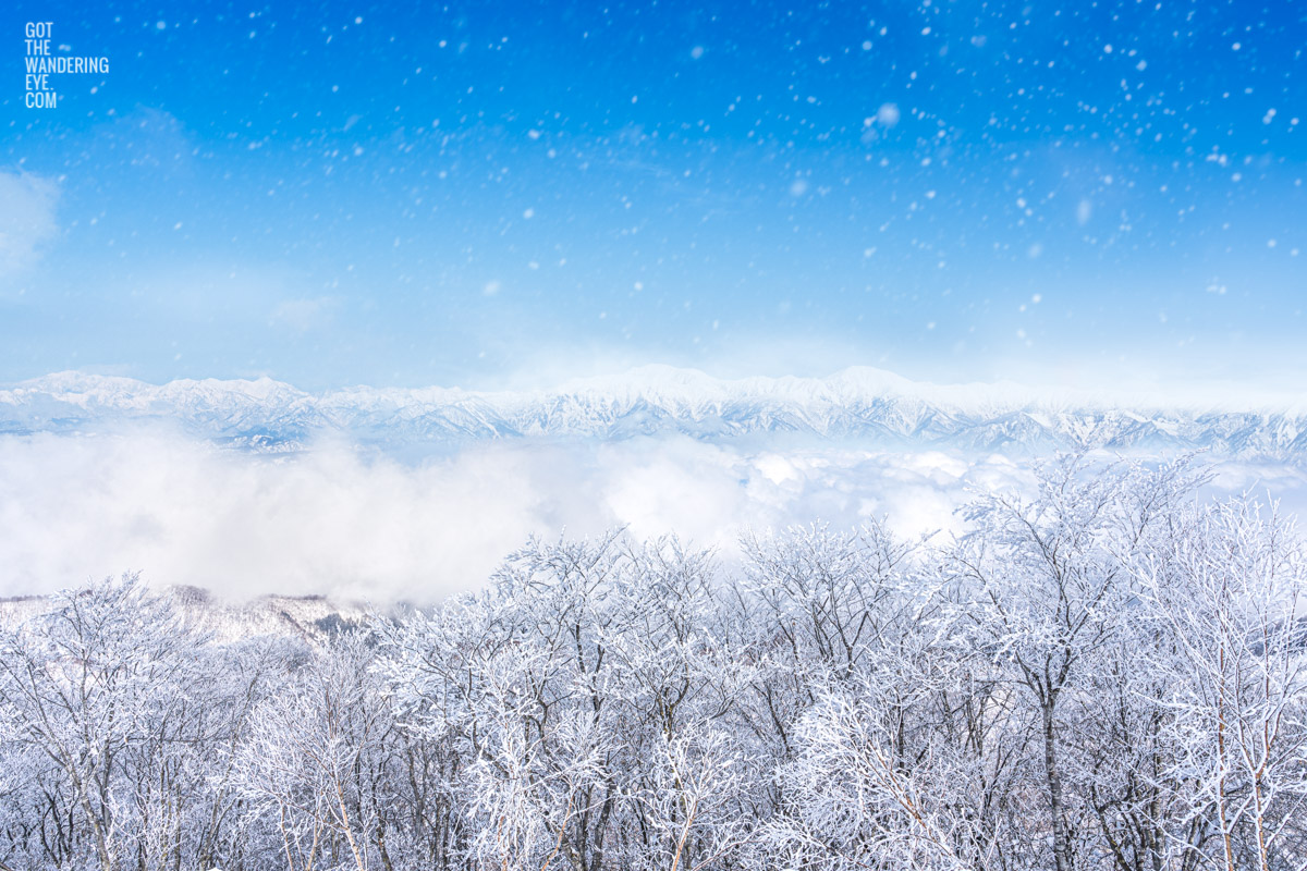 Mountains appearing above a sea of clouds and snowy trees in Nozawa Onsen, Japan