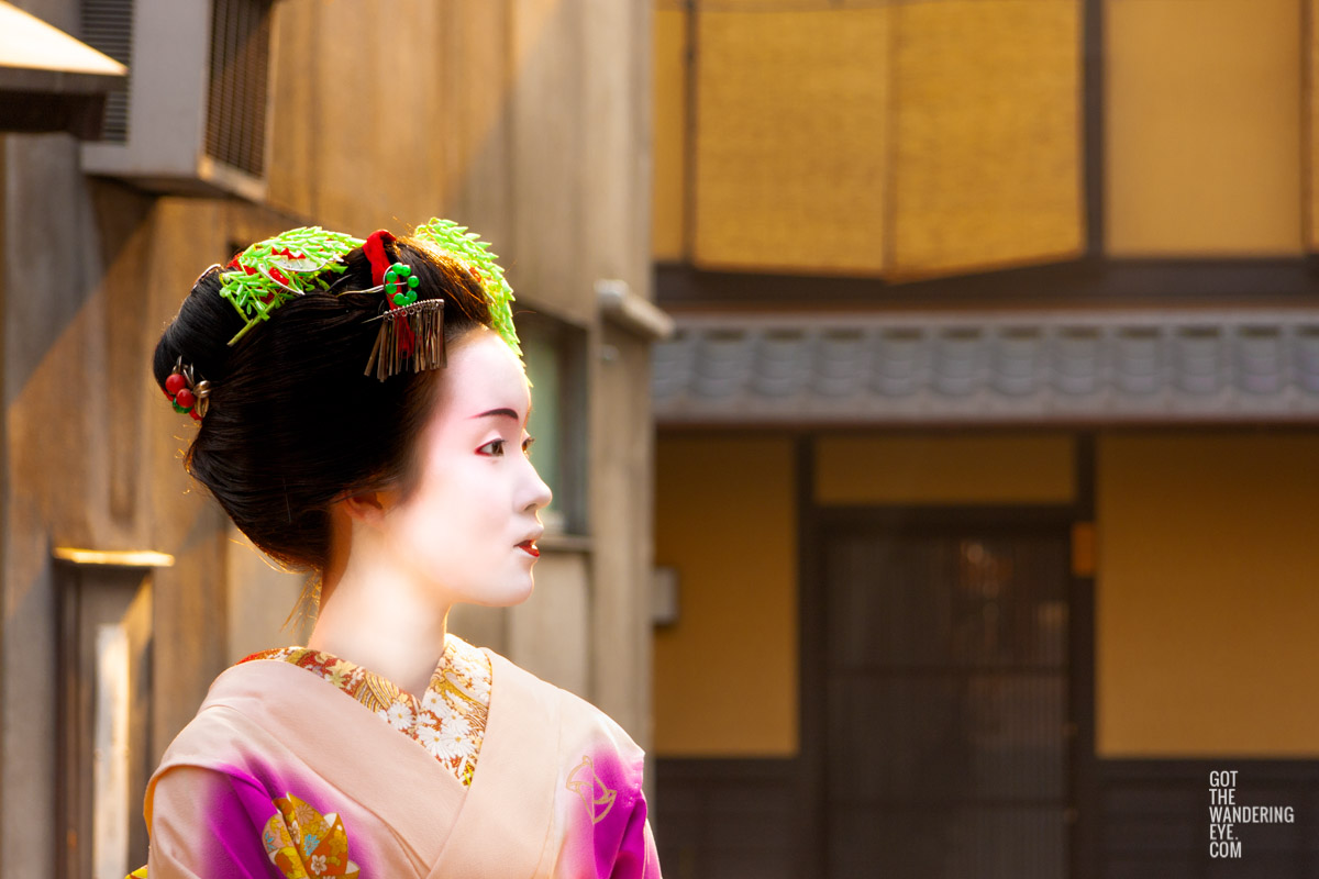 Portrait photo of a Maiko (apprentice Geisha) walking the streets of Gion, Kyoto Japan