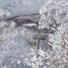 Snowboarders riding chairlift with beautiful snow covered trees over Nozawa Onsen, Japan