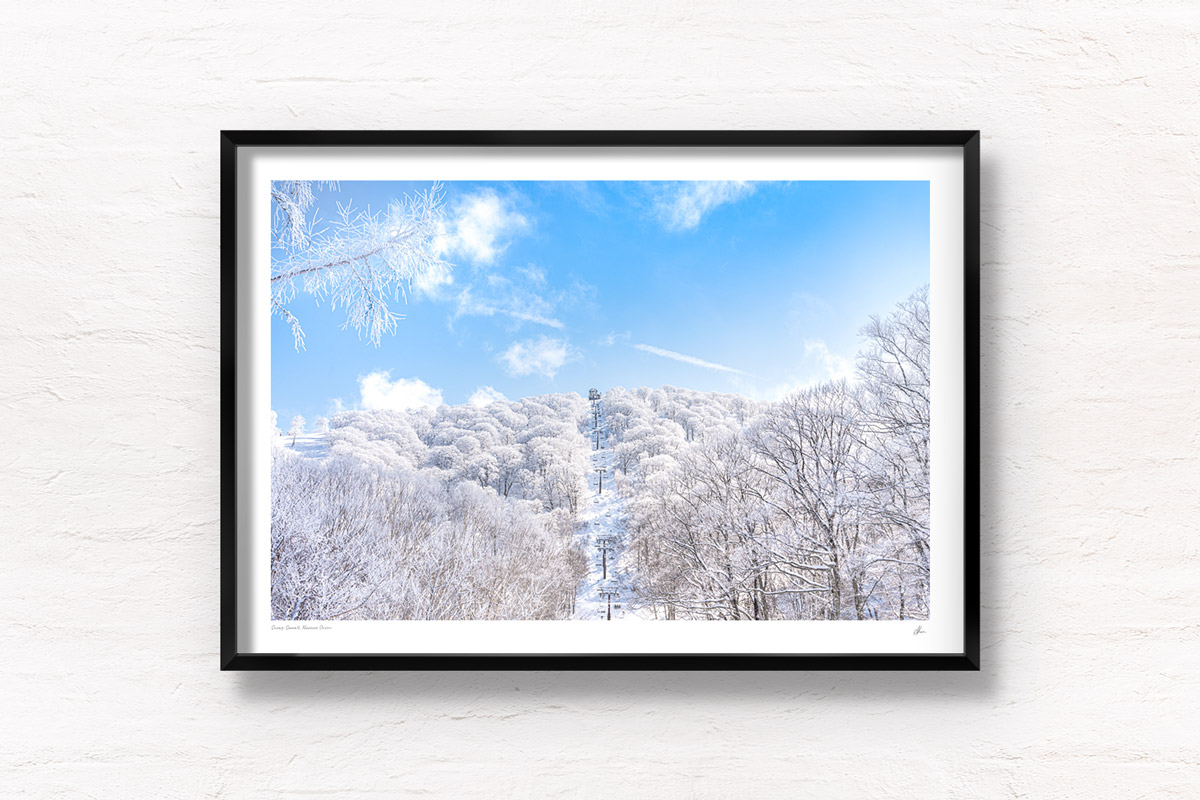 Beautiful blue sky with snow covered trees looking up towards chairlift on Nozaw Onsen Snow Resort, Japan