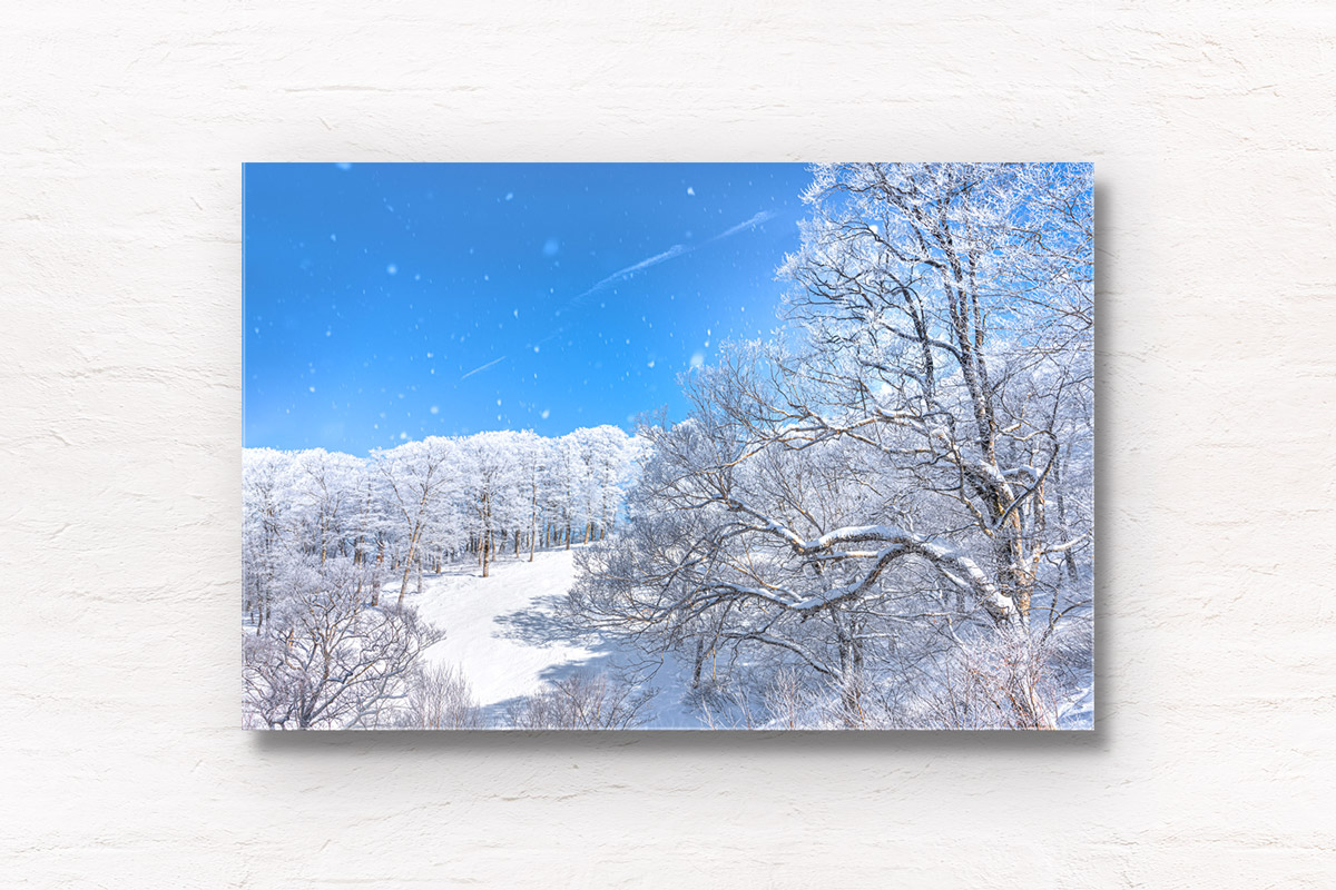 Blue skies and snow covering alpine trees in Nozawa Onsen Snow Resort, Japan