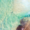 Aerial seascape of lone swimmer on Maroubra Beach