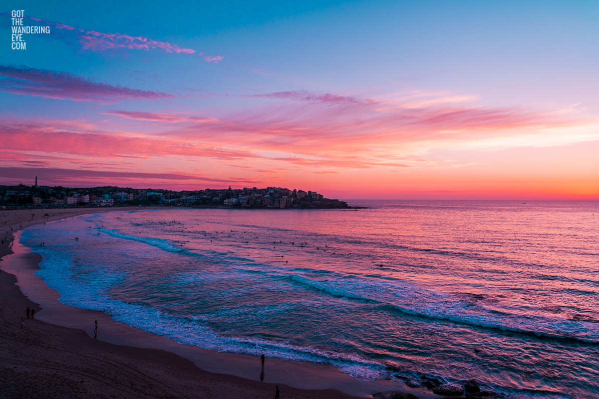 Aerial seascape of a gorgeous pink sky sunrise over Ben Buckler Bondi Beach