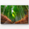Woman in kimono enters the solitude and sanctuary of the Bamboo Forest in Arashiyama, Kyoto, Japan