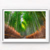 Woman in kimono enters the solitude and sanctuary of the Bamboo Forest in Arashiyama, Kyoto, Japan