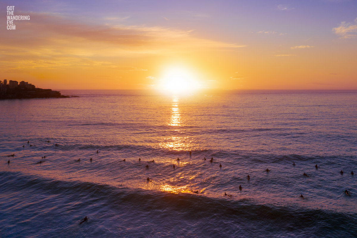 Aerial seascape of surfers experiencing a gorgeous golden sky sunrise over Bondi Beach