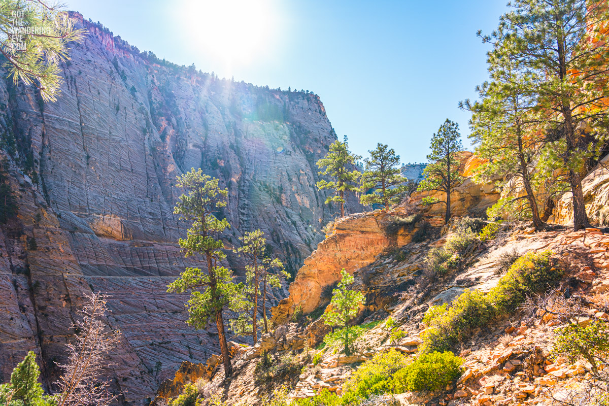 Golden rays over the mountains of Zion National Park, Zion