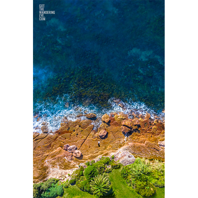 Esplanade South Cronulla Beach. Aerial oceanscape of palm tree and woman standing on rocks in Cronulla