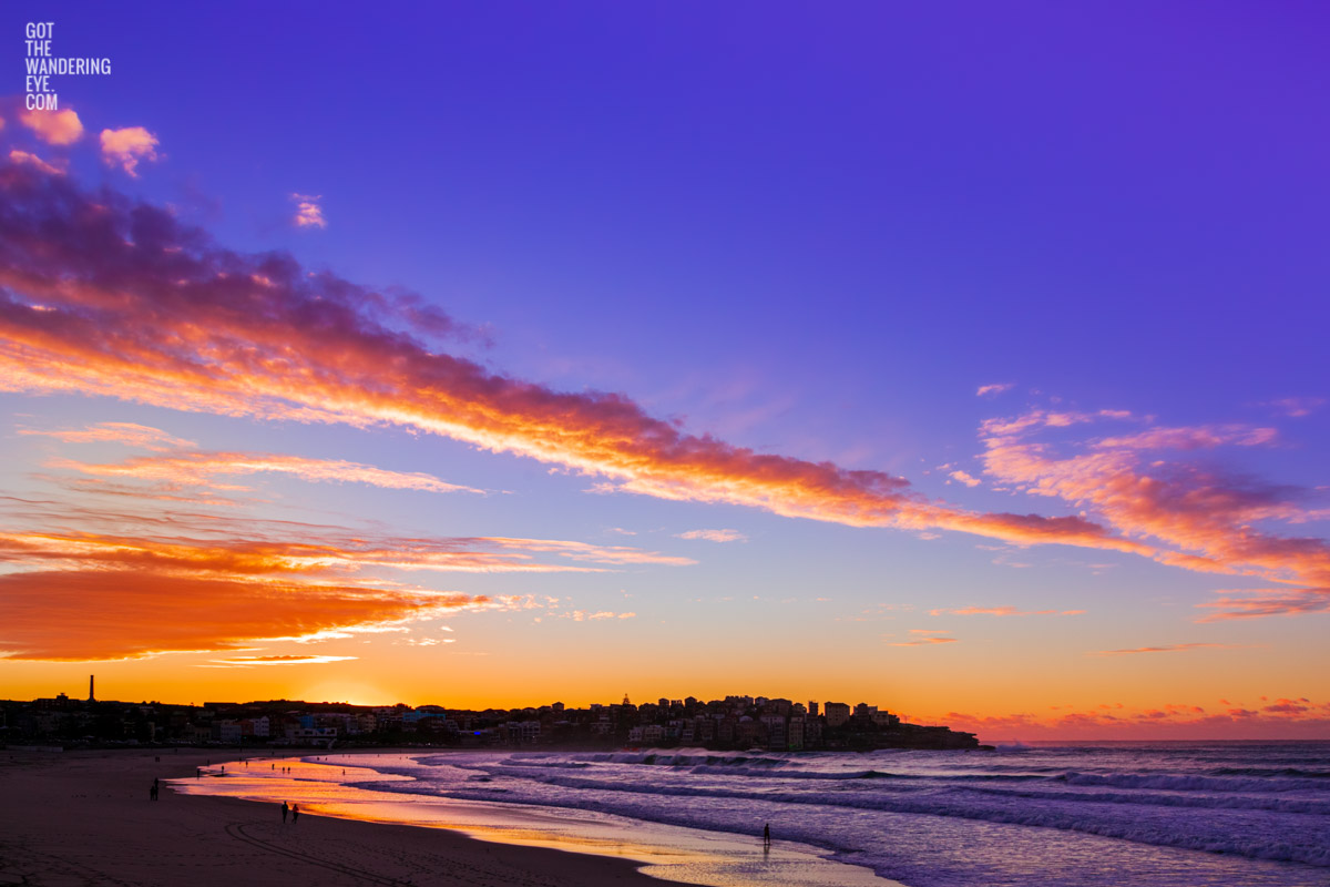 Stunning beautiful, gorgeous sunrise and Bondi Beach. Early morning, best place in Sydney for sunrise. Pink, purple fiery sunrise. Bondi Sunset Silhouette