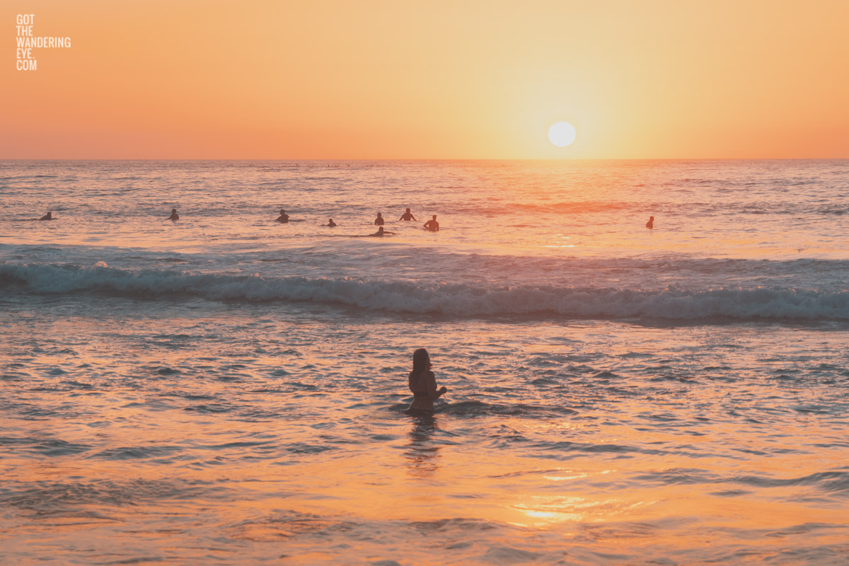 Surfers and woman watching sun rise over Bondi Beach. Silhouettes, golden beach, beautiful Bondi, Sydney Australia