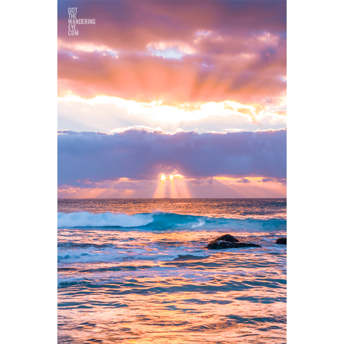A glorious heavenly sunrays beaming through multicloured clouds on a pink sky morning over Bronte Beach.