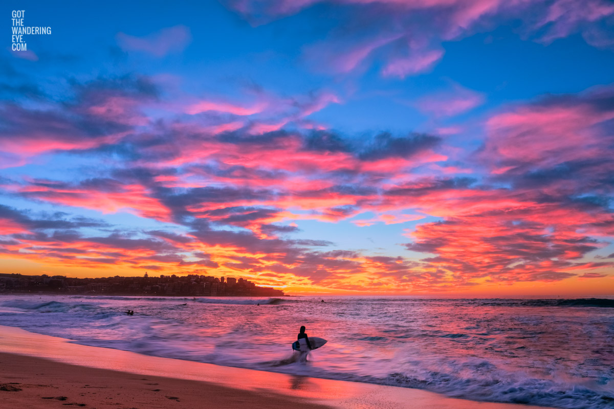 Surfer watching a stunning pink puffy cloud sunrise over beautiful Bondi Beach by Allan Chan