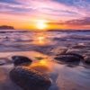 A swimmer enjoying a beautiful purple sky sunrise over the Bogey Hole at Bronte Beach