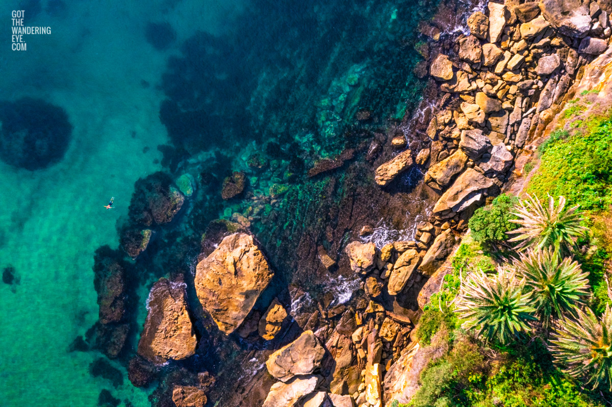 Man Swimming in clear emerald waters of Gordons Bay, surrounded by palm trees and boulders from the clifftop.