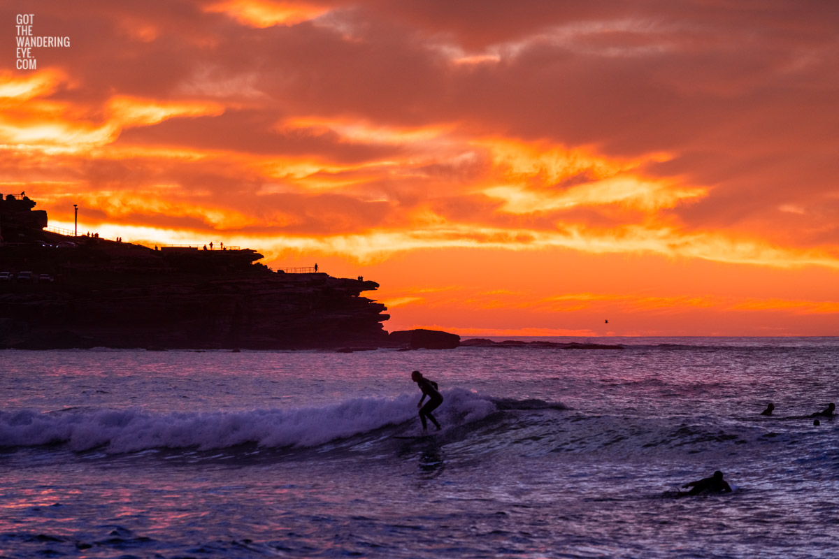 Surfer on a small wave with a scorching fiery sunrise over Ben Buckler at Bondi Beach