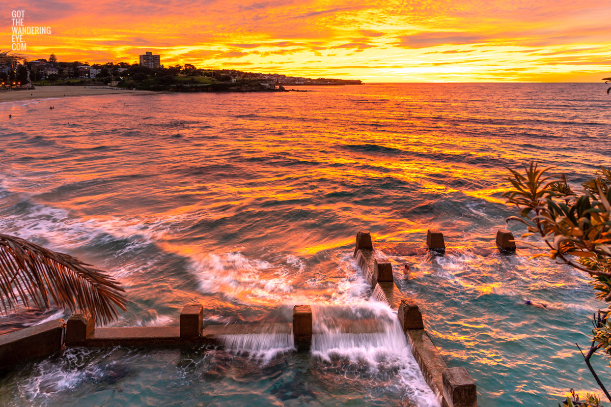 Swimmer enjoying a golden warm sunrise with waves crashing over the Ross Jones Memorial pool at Coogee