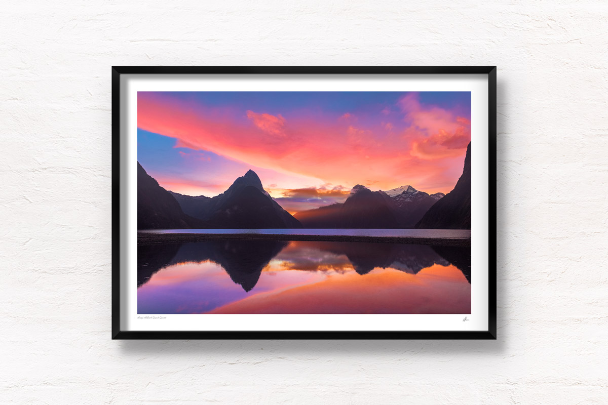 Magic Milford Sound Sunset. Gorgeous pink and purple sky sunset reflecting on water at the 8th wonder of the world.