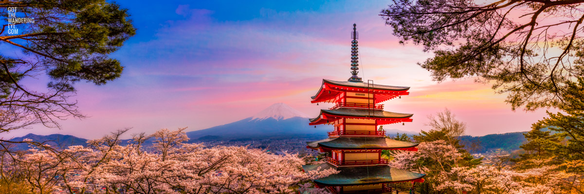 Pink sky sunset during the cherry blossom season at Chureito Pagoda Japan