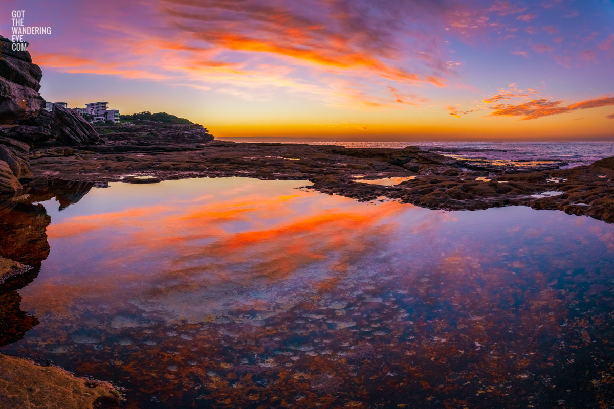 Tamarama Beach rock pool wispy purple sky sunrise reflection