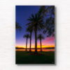Tropical coloured sunrise at Balmoral Peach palm trees. Framed art photography wall art print.
