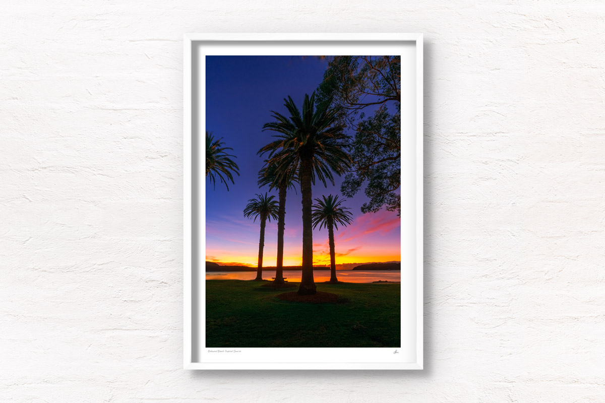 Tropical coloured sunrise at Balmoral Peach palm trees. Framed art photography wall art print.