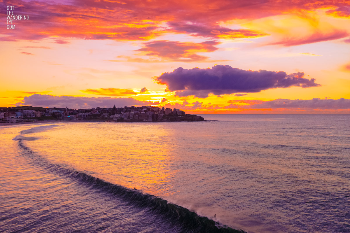 Slice of Bondi Beach. Long wave breaking during a beautiful golden pink sunrise over Ben Buckler Bondi.