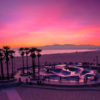 Venice Beach Skatepark Sunset, beautiful pink sky palm tree silhouette.