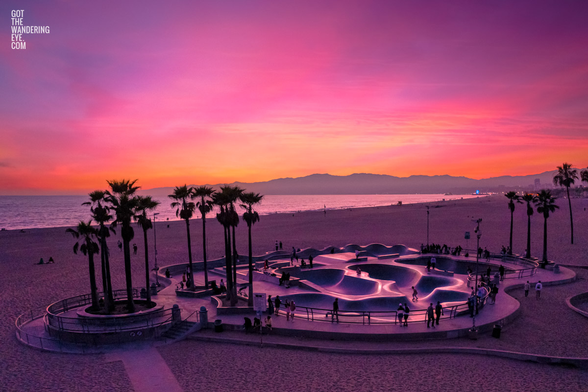 Venice Beach Skatepark Sunset, beautiful pink sky palm tree silhouette.