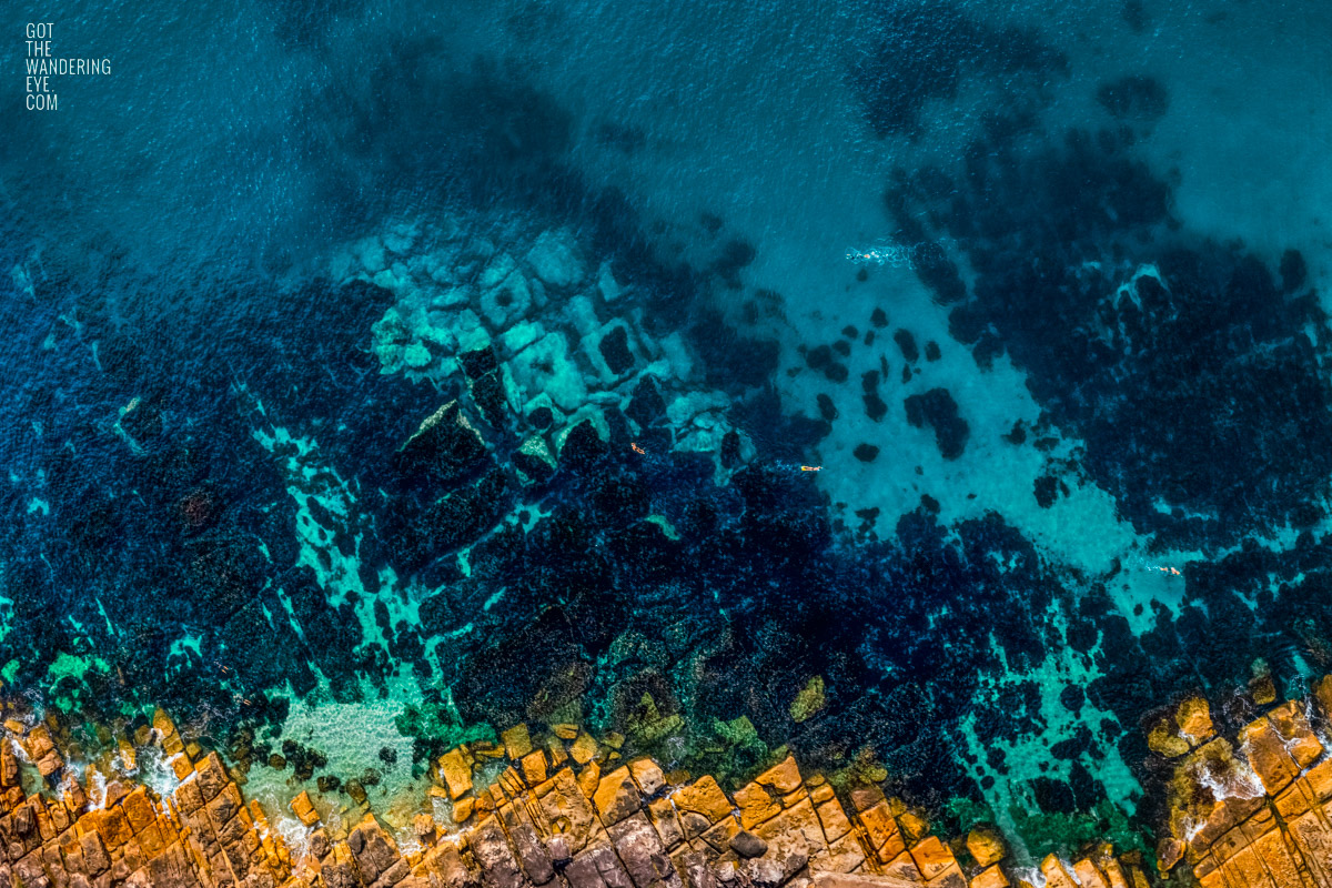 Aerial top down view above swimmers at Fairy Bower Beach's crystal clear waters.