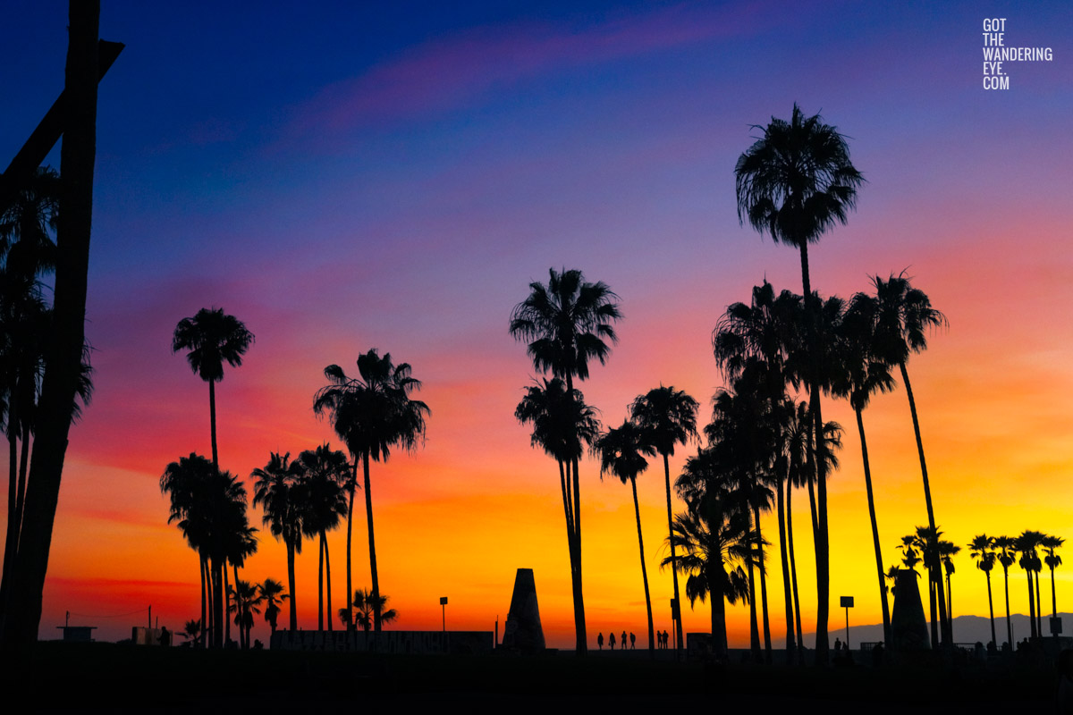 California Dreamin Venice Beach. Incredible vibrant, fiery sunset sky, palm tree silhouettes.