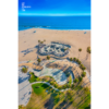 Aerial view above Venice Beach Skatepark and palm trees. Skateboarders and rollerbladers enjoying Summer in California.