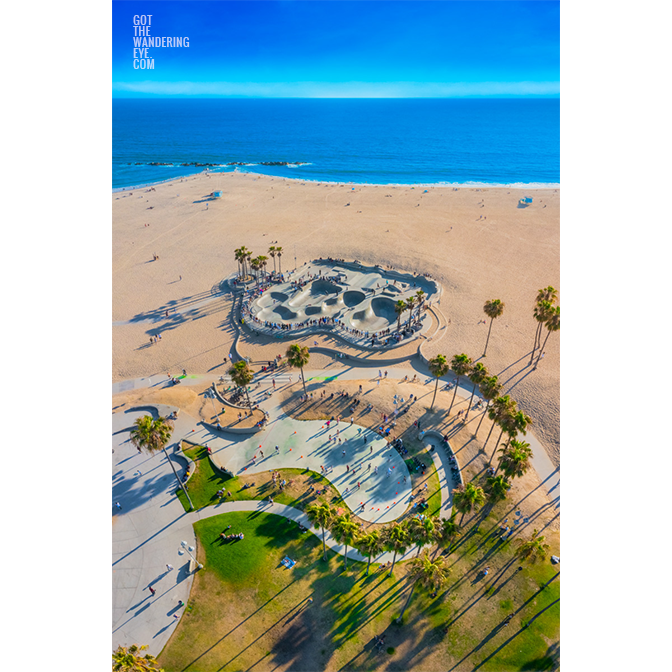 Aerial view above Venice Beach Skatepark and palm trees. Skateboarders and rollerbladers enjoying Summer in California.