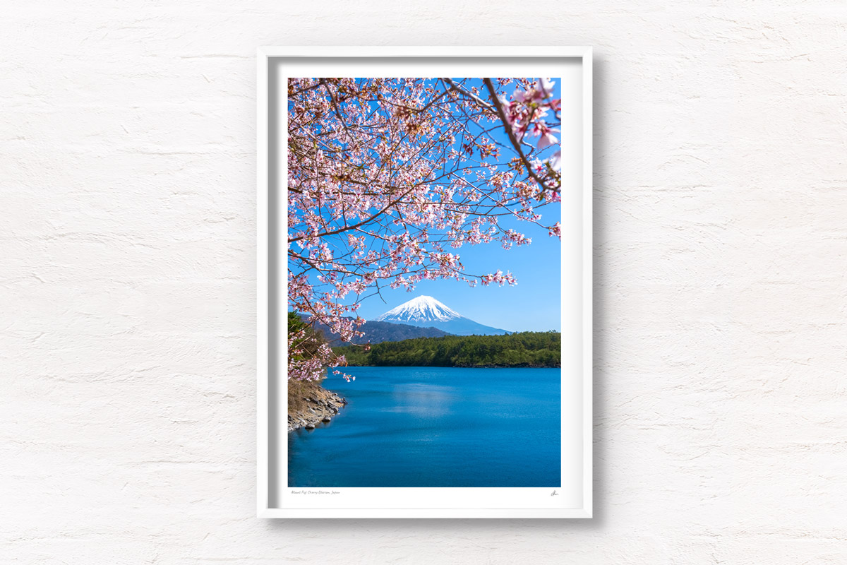 Mount Fuji Cherry Blossom views on a sunny day from one of the Fuji Five Lakes, Lake Saiko. Framed art photography, wall art prints by Allan Chan.