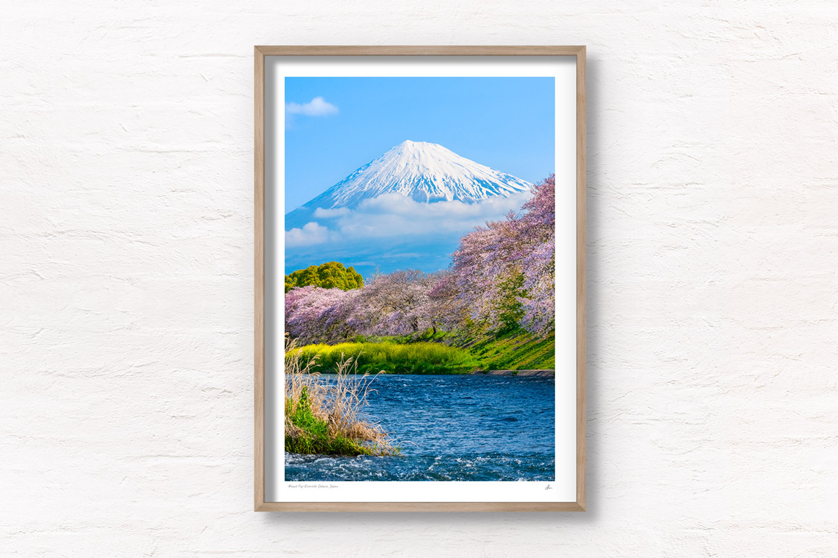 Mount Fuji Riverside Sakura. Urui River during Cherry Blossom season. Flowing river with Mt Fuji Scenery in Japan. Framed art photography, wall art prints by Allan Chan.