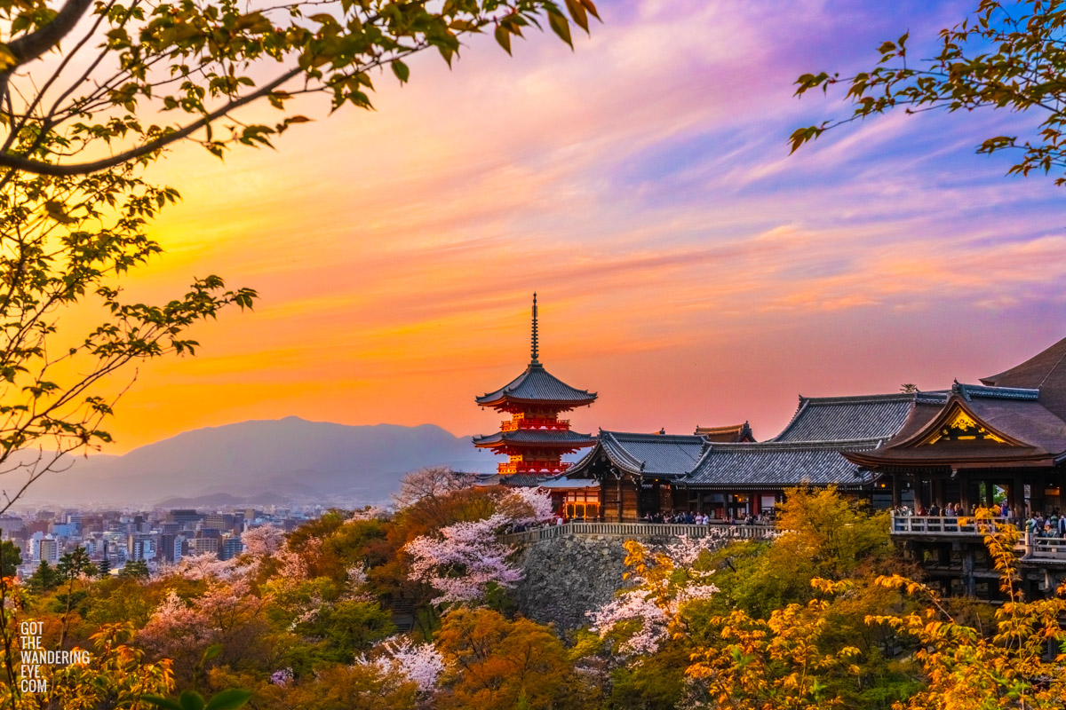 Kiyomizu-dera Temple Sunset. Spectacular golden sunset illuminating Koyasu Pagoda during the cherry blossom season.