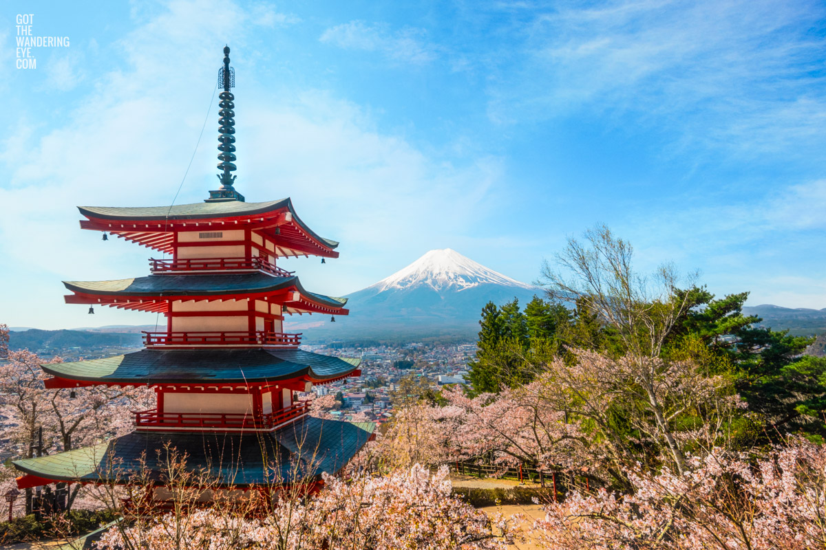 Chureito Pagoda and Mount Fuji Sakura on a beautiful clear spring day.