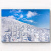 Zao Onsen Snow Trees. Man taking a photo of the spectacular landscape of snow monsters. Framed art photography, wall art prints by Allan Chan.