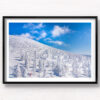 Zao Onsen Snow Trees. Man taking a photo of the spectacular landscape of snow monsters. Framed art photography, wall art prints by Allan Chan.