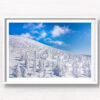 Zao Onsen Snow Trees. Man taking a photo of the spectacular landscape of snow monsters. Framed art photography, wall art prints by Allan Chan.