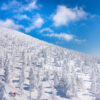 Zao Onsen Snow Trees. Man taking a photo of the spectacular landscape of snow monsters.