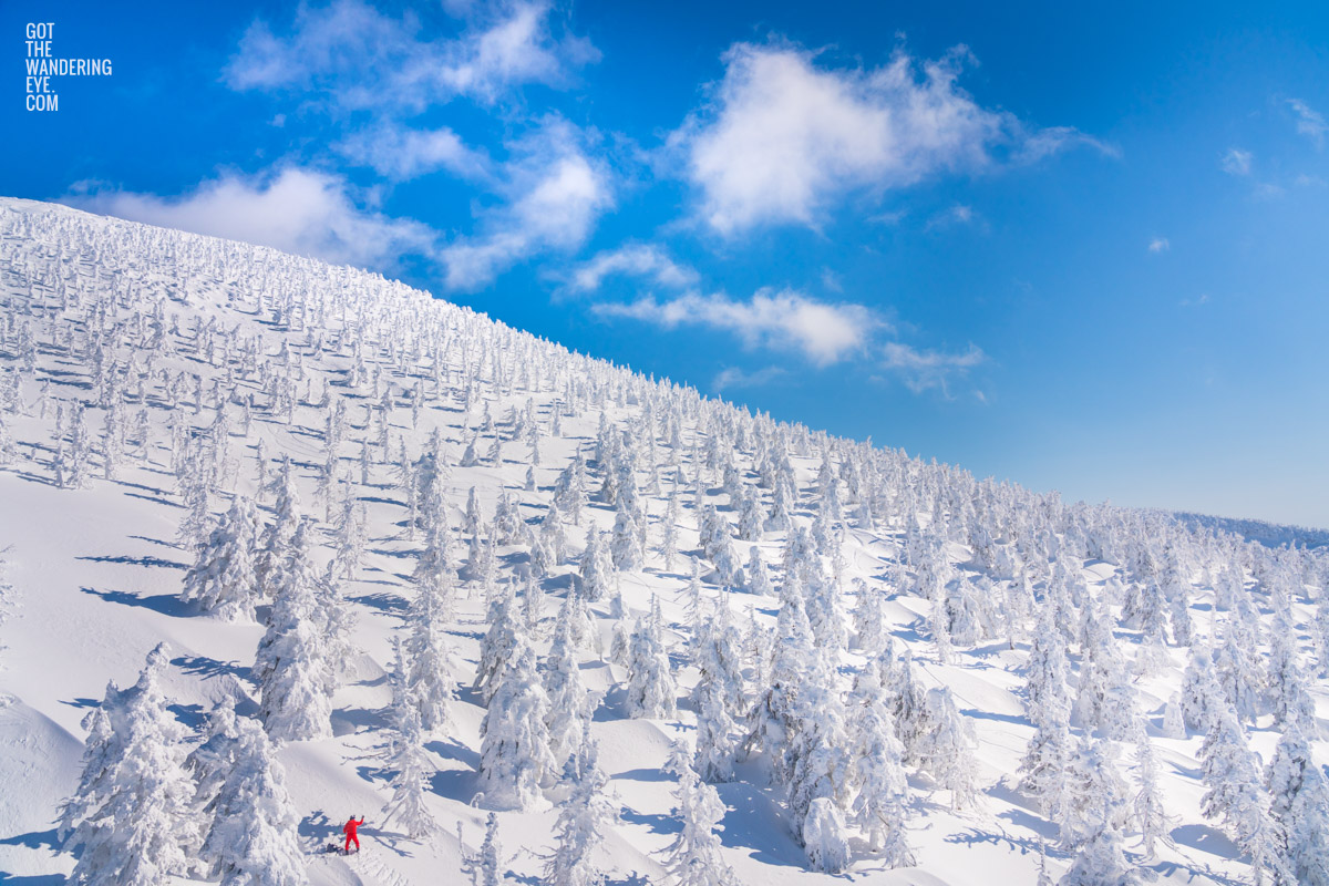 Zao Onsen Snow Trees. Man taking a photo of the spectacular landscape of snow monsters.