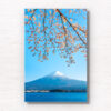 Fuji Kawaguchi Cherry Blossoms. Mount Fuji view from Lake Kawaguchi. Framed art photography, wall art prints by Allan Chan.