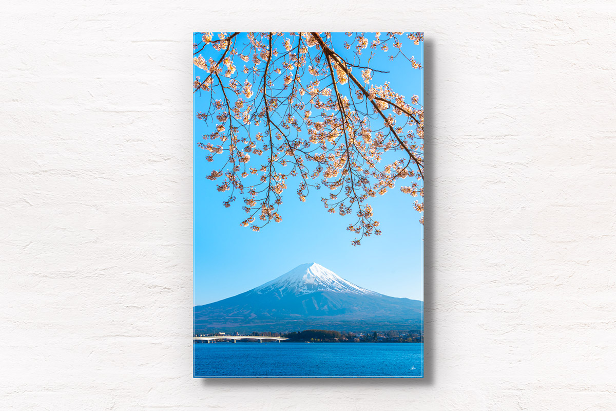 Fuji Kawaguchi Cherry Blossoms. Mount Fuji view from Lake Kawaguchi. Framed art photography, wall art prints by Allan Chan.