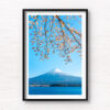 Fuji Kawaguchi Cherry Blossoms. Mount Fuji view from Lake Kawaguchi. Framed art photography, wall art prints by Allan Chan.