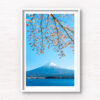 Fuji Kawaguchi Cherry Blossoms. Mount Fuji view from Lake Kawaguchi. Framed art photography, wall art prints by Allan Chan.