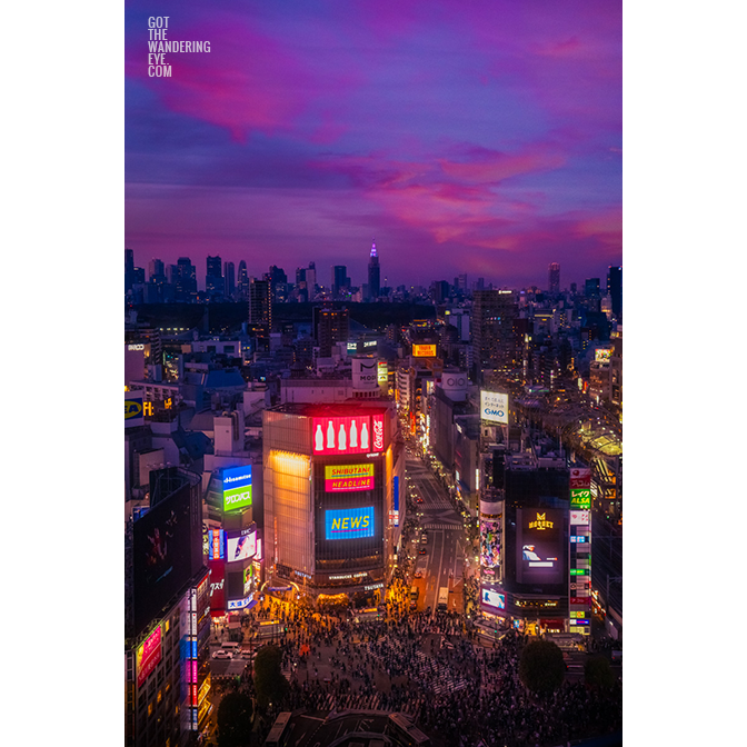 Neon Nights Shibuya Crossing. Aerial view of the city lit up at night during a purple and pink sky sunset.