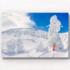 Snow Monsters Zao Onsen Print. Fluffy piles of snow covered trees towering over a snowboard. Framed art photography, wall art prints by Allan Chan.