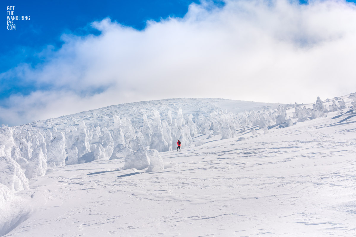 A hiker surrounded by juhyo (Snow Monsters) Mount Zao, Japan during winter.